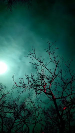 Mesmerizing Turquoise Green Abstract Wallpaper Wallpaper