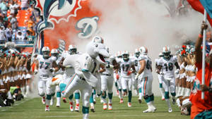 Miami Dolphins Grand Entrance Wallpaper