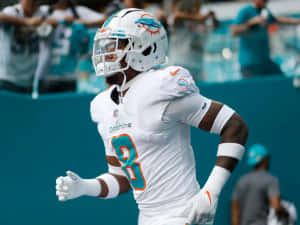 Miami Dolphins Player Celebration Wallpaper