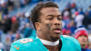 Miami Dolphins Player Concentration Wallpaper