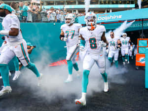 Miami Dolphins Team Entrance Wallpaper