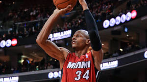 Miami Heat Ray Allen Wallpaper