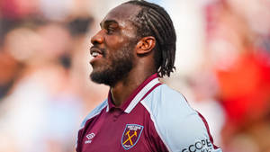 Michail Antonio Hair Locks Wallpaper