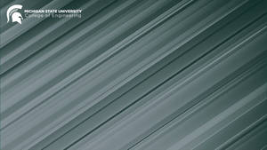 Michigan State University Engineering Gray Wallpaper