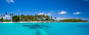 Micronesia Clear Blue Resort Waters Wallpaper