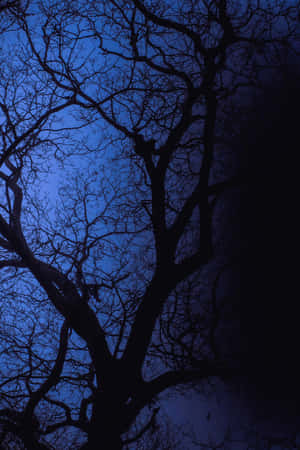 Midnight_ Blue_ Tree_ Silhouette Wallpaper