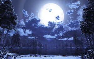 Midnight_ Forest_ Moonlight Wallpaper