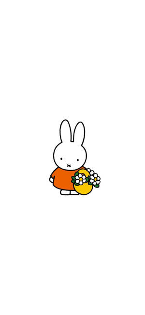 Miffy With Daisy Flowers Wallpaper