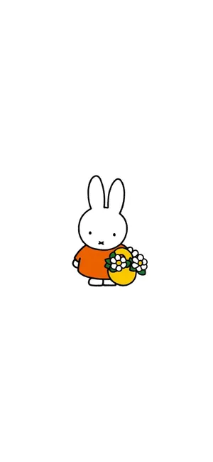 Miffy With Daisy Flowers Wallpaper