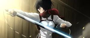 Mikasa Pfp Blades Wallpaper