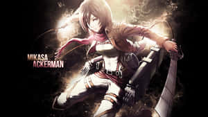 Mikasa Pfp Name Wallpaper