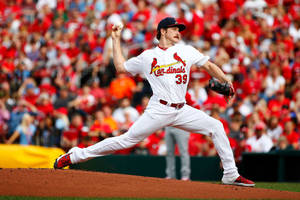 Miles Mikolas Long Stride Throwing Ball Wallpaper