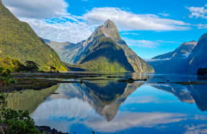 Milford Sound Towering Cliffs Wallpaper