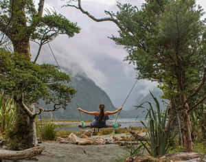 Milford Sound Tree Swing Wallpaper