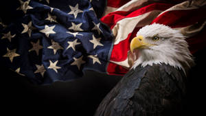 Military American Flag With Eagle Wallpaper