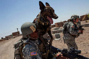 Military Canine Companionship.jpg Wallpaper