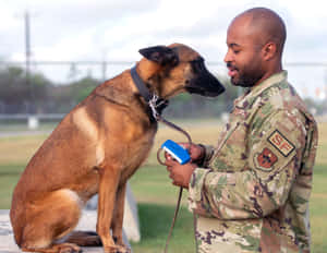 Military Handler Bonding With Dog.jpg Wallpaper