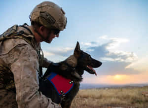 Military Handlerand Service Dogat Sunset Wallpaper