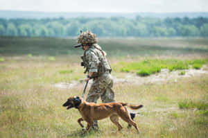 Military Handlerand Working Dog Wallpaper