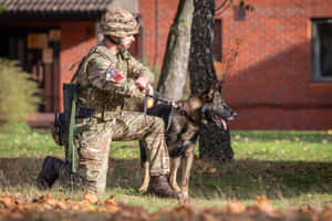 Military Handlerand Working Dog Wallpaper