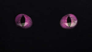 Minecraft Ender Dragon Eyes Wallpaper