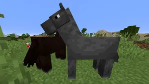 Minecraft Horses 1920 X 1080 Wallpaper Wallpaper