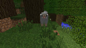 Minecraft Sheep Wandering In The Blocky World Wallpaper