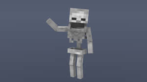 Minecraft Skeleton Encounter Wallpaper