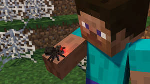 Minecraft Steve Spider Wallpaper