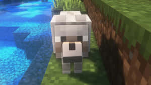 Minecraft Wolf 1920 X 1080 Wallpaper Wallpaper