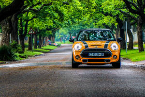 Mini Cooper In The Forest Wallpaper