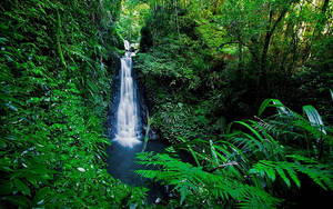 Mini Waterfalls Full Desktop Screen Hd Wallpaper