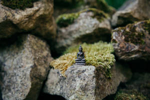 Miniature Figure Of Buddha Hd Wallpaper