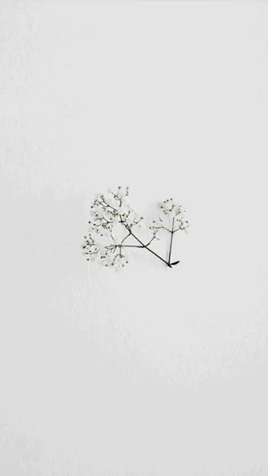 Minimal Flower Wallpaper