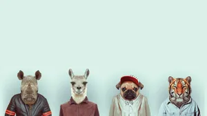 Minimalist Animal Art Featuring A Fox Wallpaper