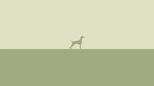 Minimalist Animal Art In Vibrant Colors Wallpaper