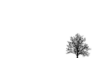 Minimalist Black Treeon White Background Wallpaper