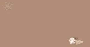 Minimalist Brown Aesthetic Desktop Background Wallpaper
