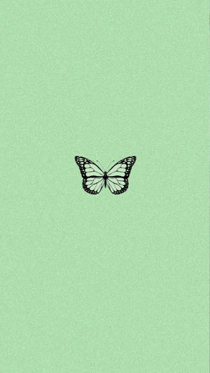 Minimalist Butterfly Mint Green Iphone Wallpaper