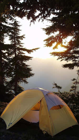 Minimalist Camping Under The Stars Wallpaper