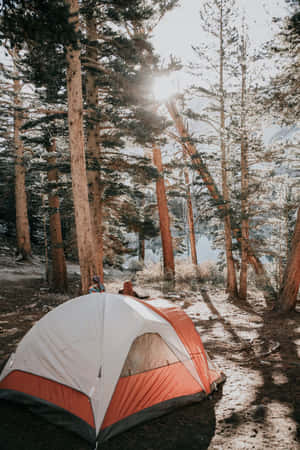 Minimalist Camping Under The Stars Wallpaper