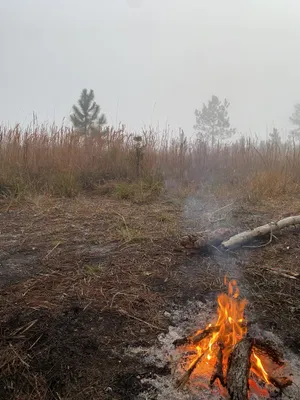 Minimalist Camping Under The Stars Wallpaper
