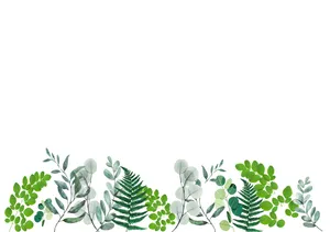 Minimalist Cute Plant Leaves Wallpaper