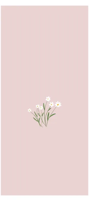 Minimalist_ Daisy_ Illustration_ Pink_ Background.jpg Wallpaper