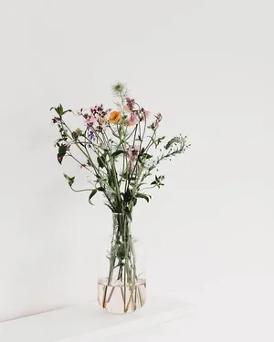 Minimalist Floral Arrangementin Vase Wallpaper