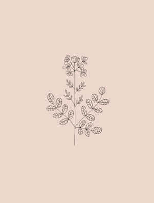 Minimalist Floral Sketch Art Wallpaper