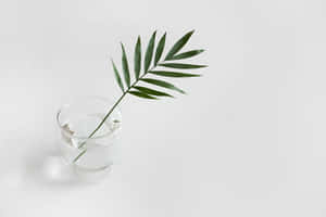 Minimalist Green Leafin Glass Water Wallpaper