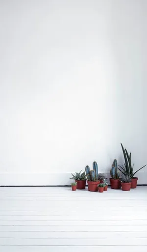 Minimalist Interiorwith Plants Wallpaper