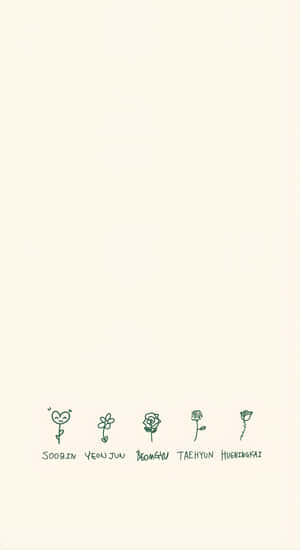 Minimalist Kpop Flower Doodles Wallpaper