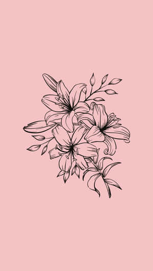 Minimalist Lily Illustration Pink Background Wallpaper